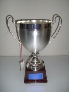 coppadeicampioni.jpg